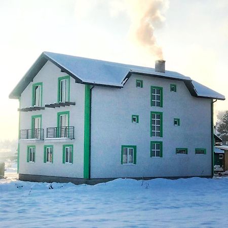 Лідія Ясиня Экстерьер фото