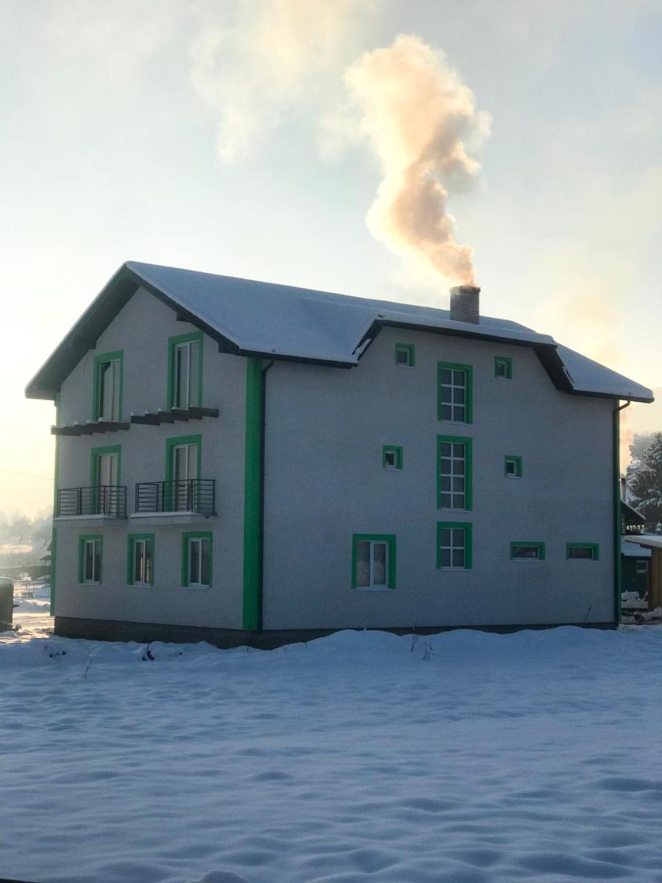 Лідія Ясиня Экстерьер фото